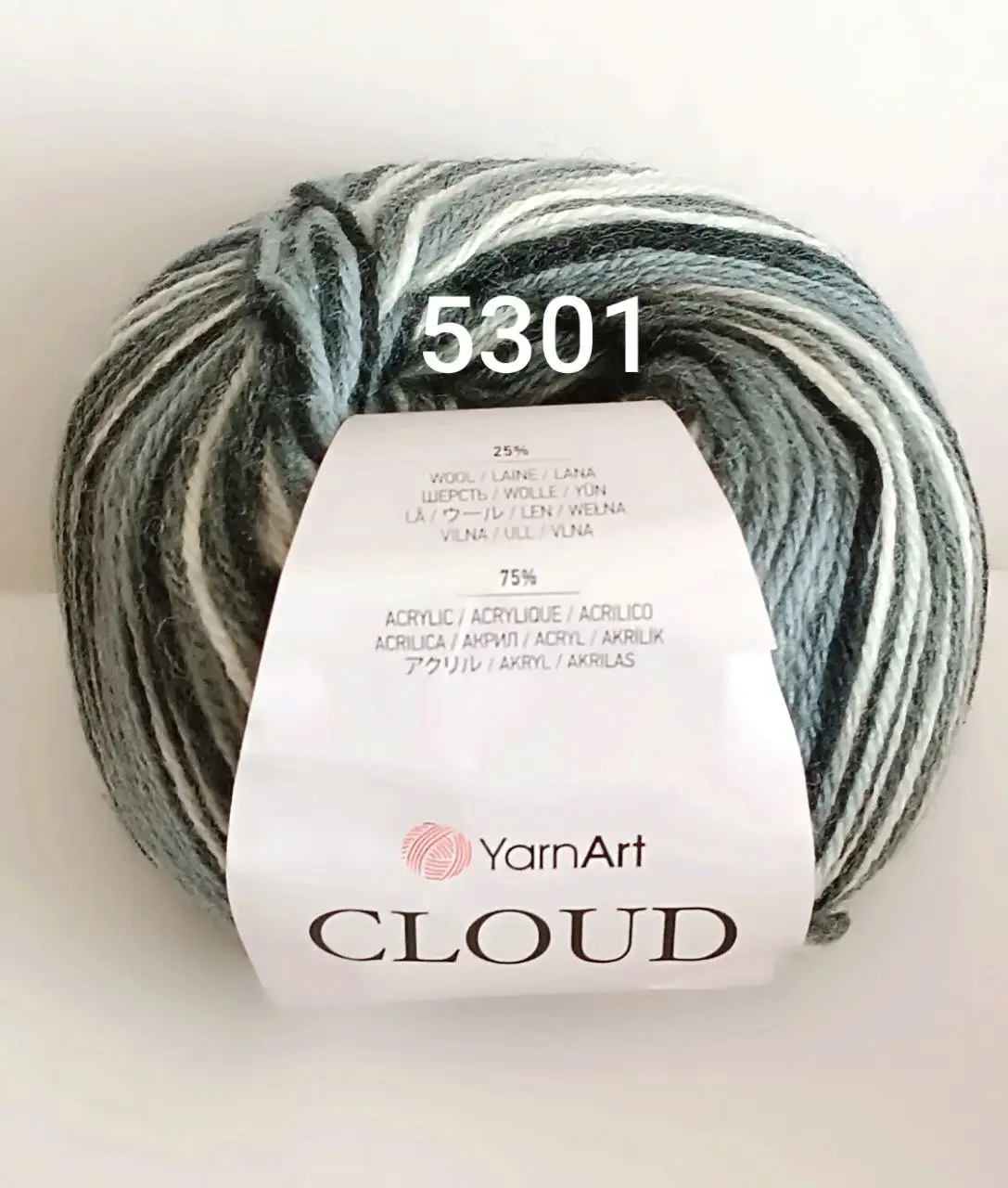Пряжа YarnArt СLOUD 5301