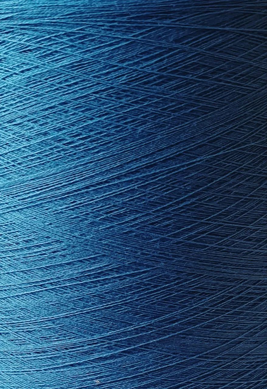 Італійська бобінна пряжа REWOOLIVE E. Miroglio #LK9 Avio